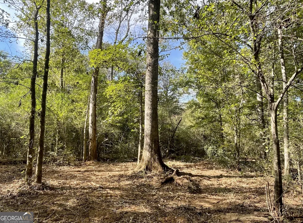 0 Buffalo Creek RD Carrollton, GA 30117