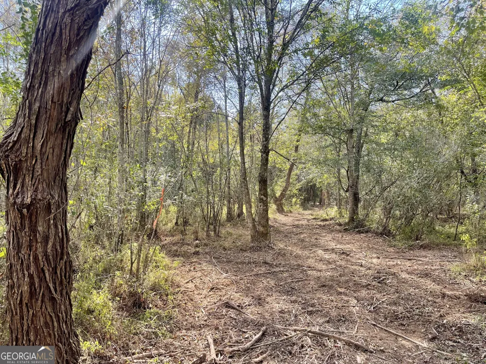 0 Buffalo Creek RD Carrollton, GA 30117