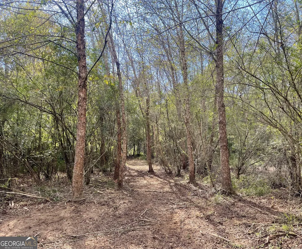 0 Buffalo Creek RD Carrollton, GA 30117