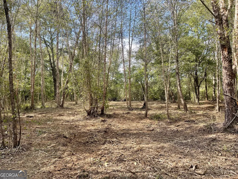 0 Buffalo Creek RD Carrollton, GA 30117
