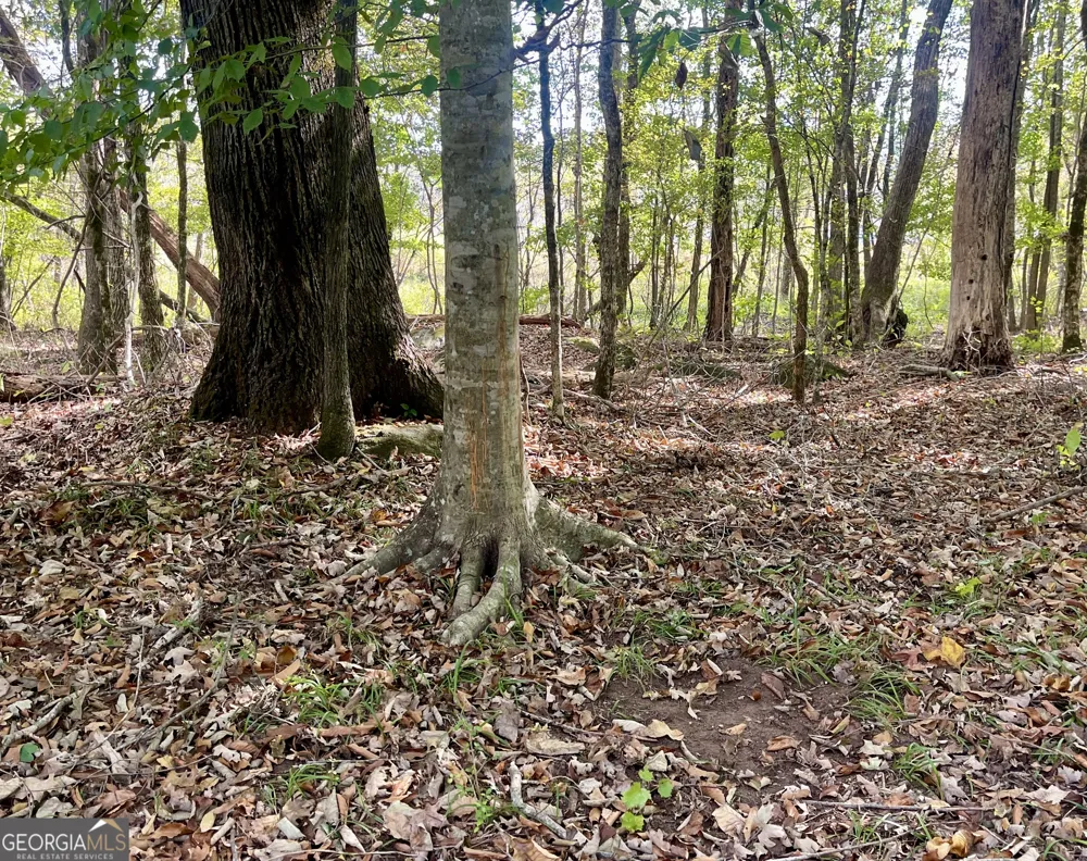 0 Buffalo Creek RD Carrollton, GA 30117