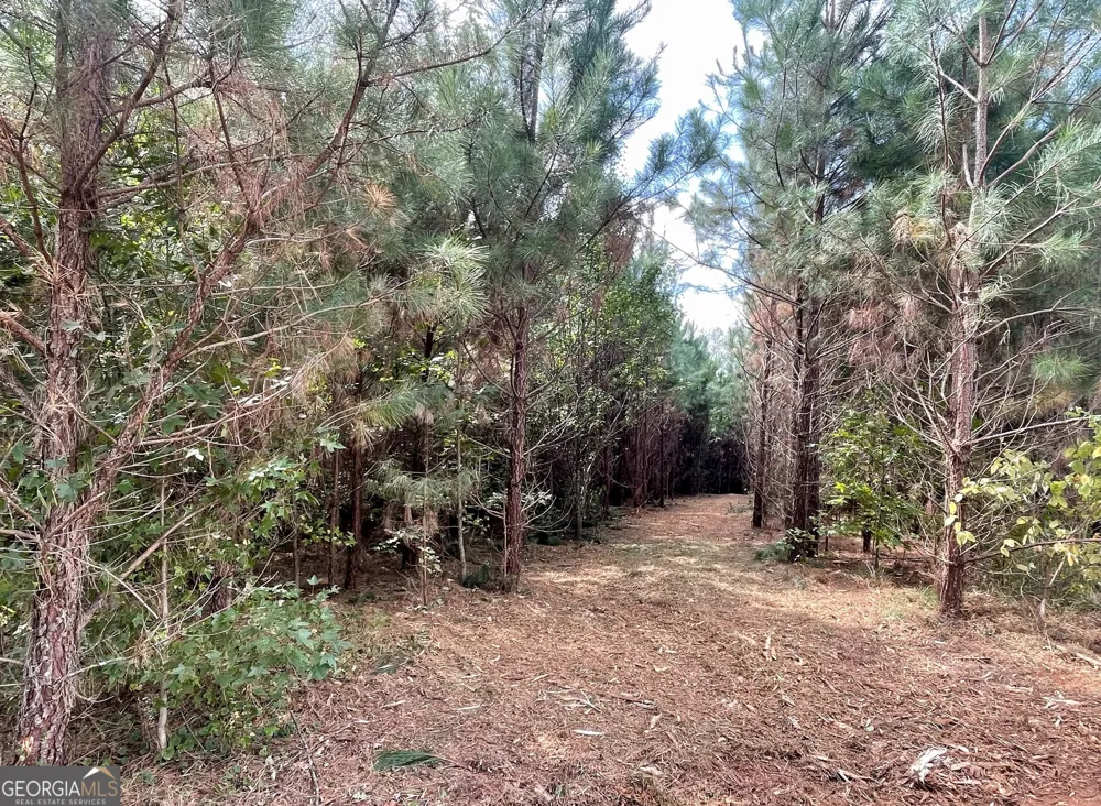 0 Buffalo Creek RD Carrollton, GA 30117