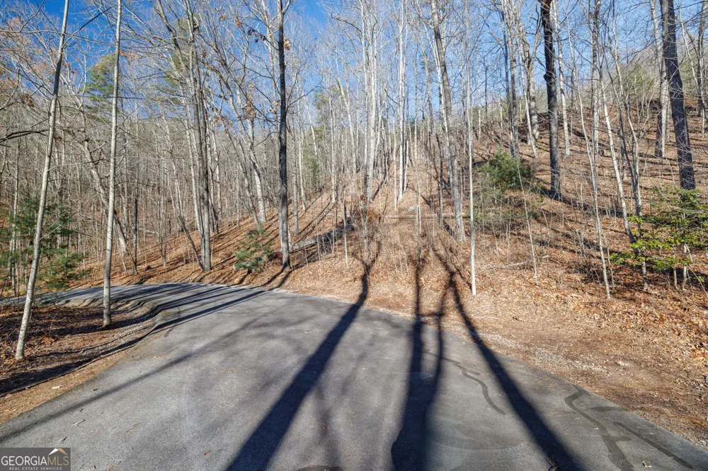 0 Forest Canopy WAY Clayton, GA 30525
