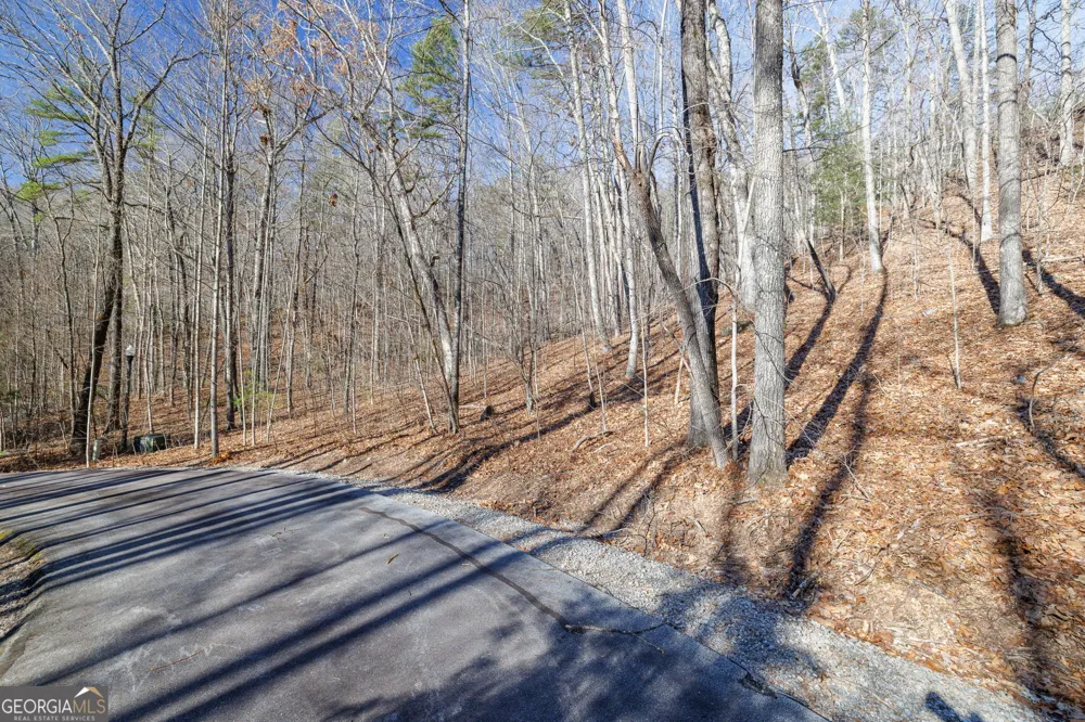 0 Forest Canopy WAY Clayton, GA 30525