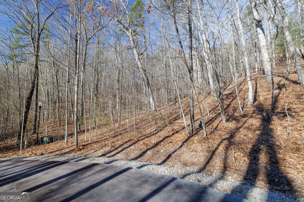 0 Forest Canopy WAY Clayton, GA 30525