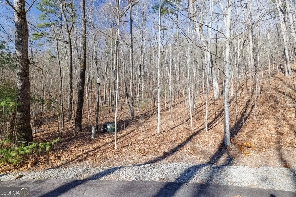 0 Forest Canopy WAY Clayton, GA 30525