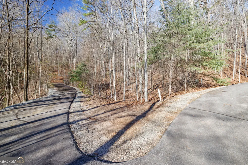 0 Forest Canopy WAY Clayton, GA 30525