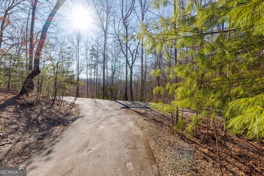 0 Forest Canopy WAY Clayton, GA 30525