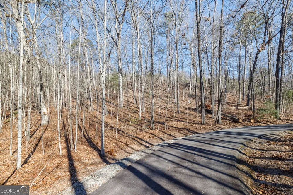 0 Forest Canopy WAY Clayton, GA 30525