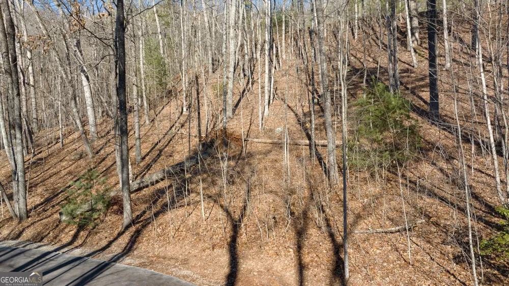 0 Forest Canopy WAY Clayton, GA 30525