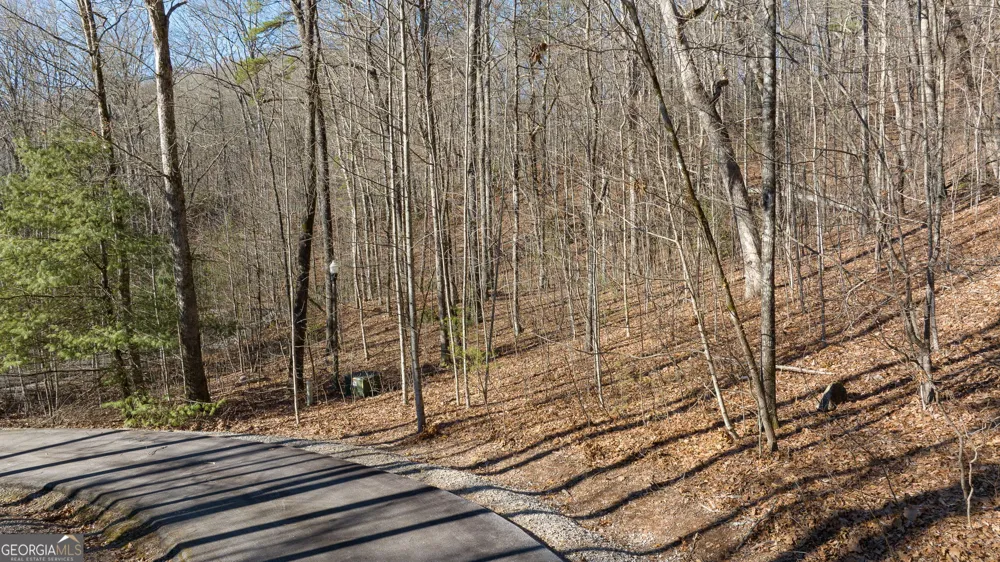 0 Forest Canopy WAY Clayton, GA 30525