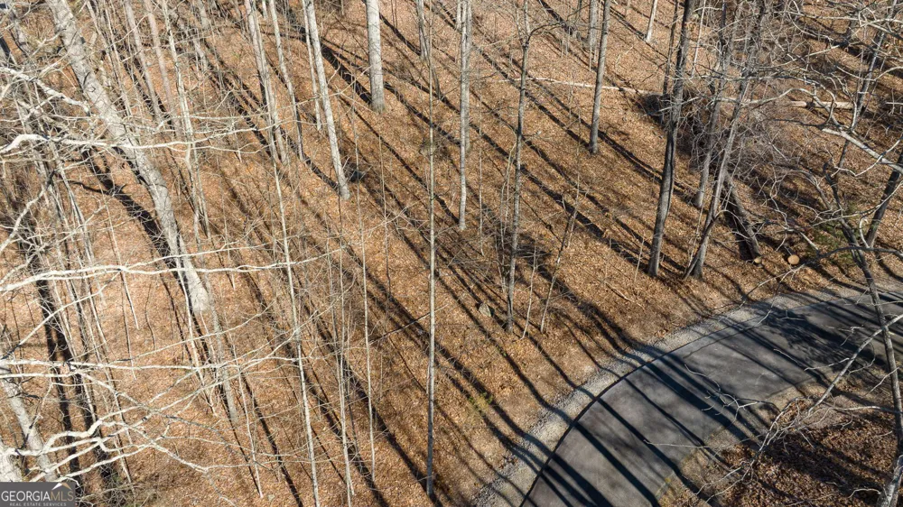 0 Forest Canopy WAY Clayton, GA 30525
