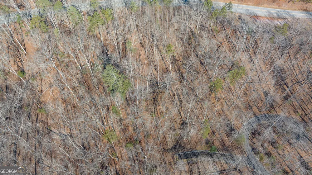 0 Forest Canopy WAY Clayton, GA 30525