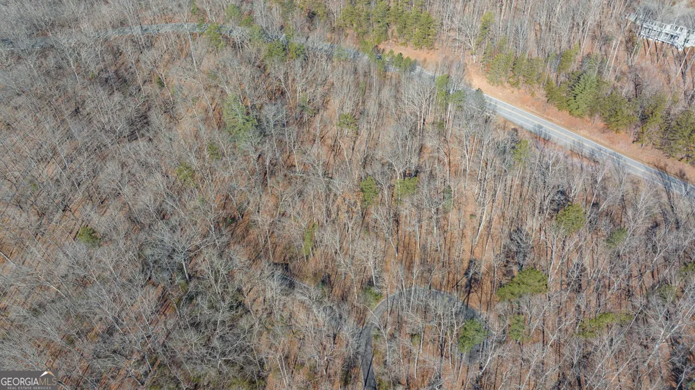 0 Forest Canopy WAY Clayton, GA 30525