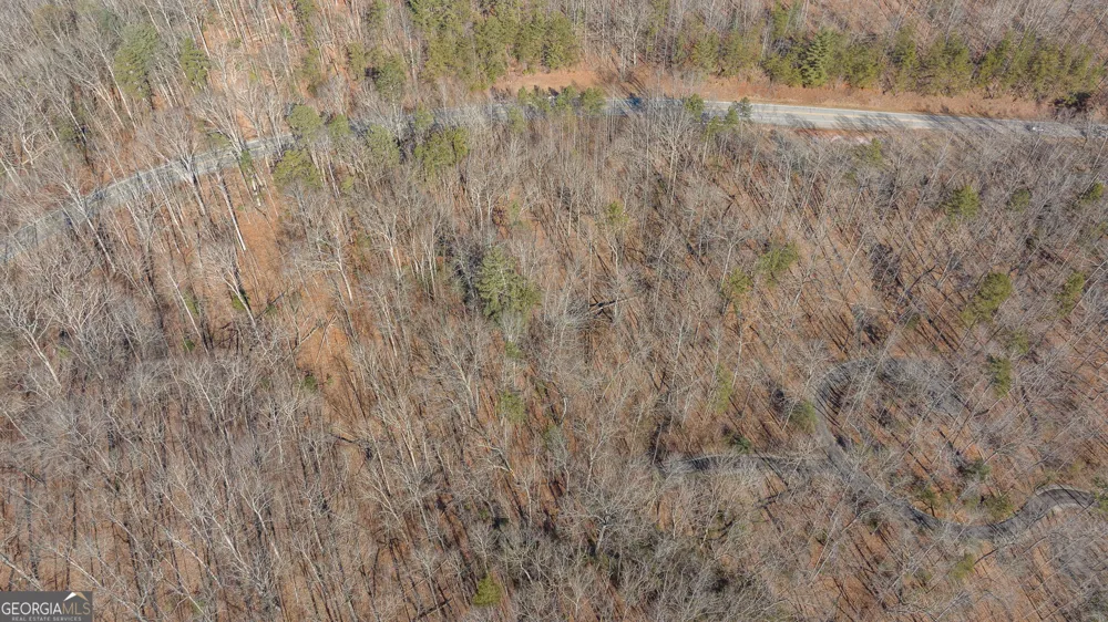 0 Forest Canopy WAY Clayton, GA 30525