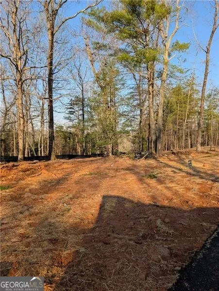 0 Yahoola Ridge Dahlonega, GA 30533