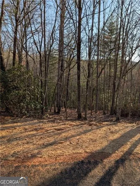 0 Yahoola Ridge Dahlonega, GA 30533