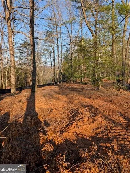0 Yahoola Ridge Dahlonega, GA 30533