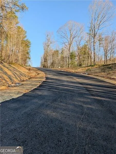 0 Yahoola Ridge