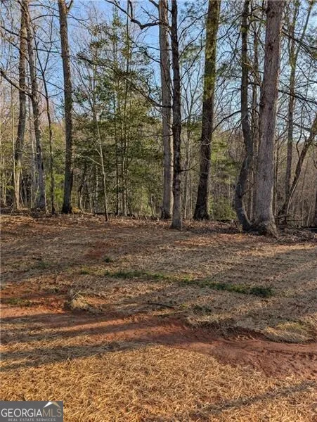 0 Yahoola Ridge Dahlonega, GA 30533