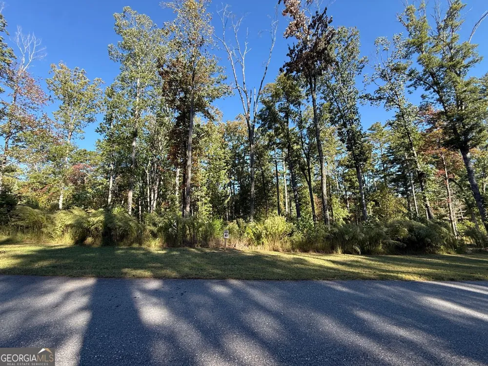 83 Leisure Mtn TRL Sautee Nacoochee, GA 30571