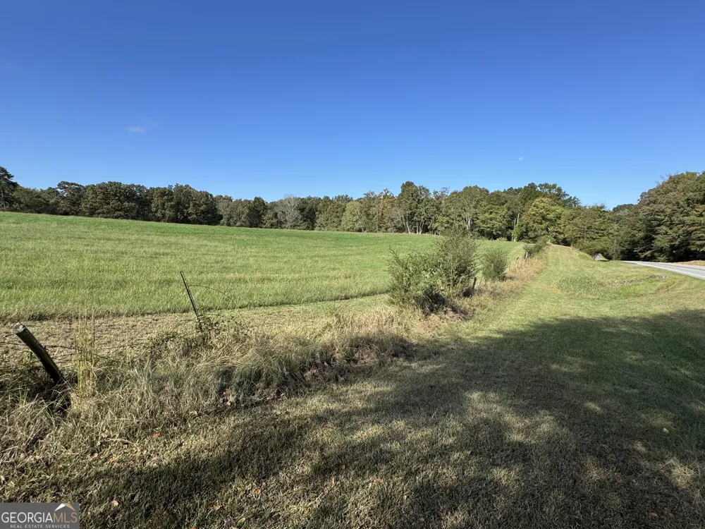 0 Ga Highway 142 Shady Dale, GA 31085