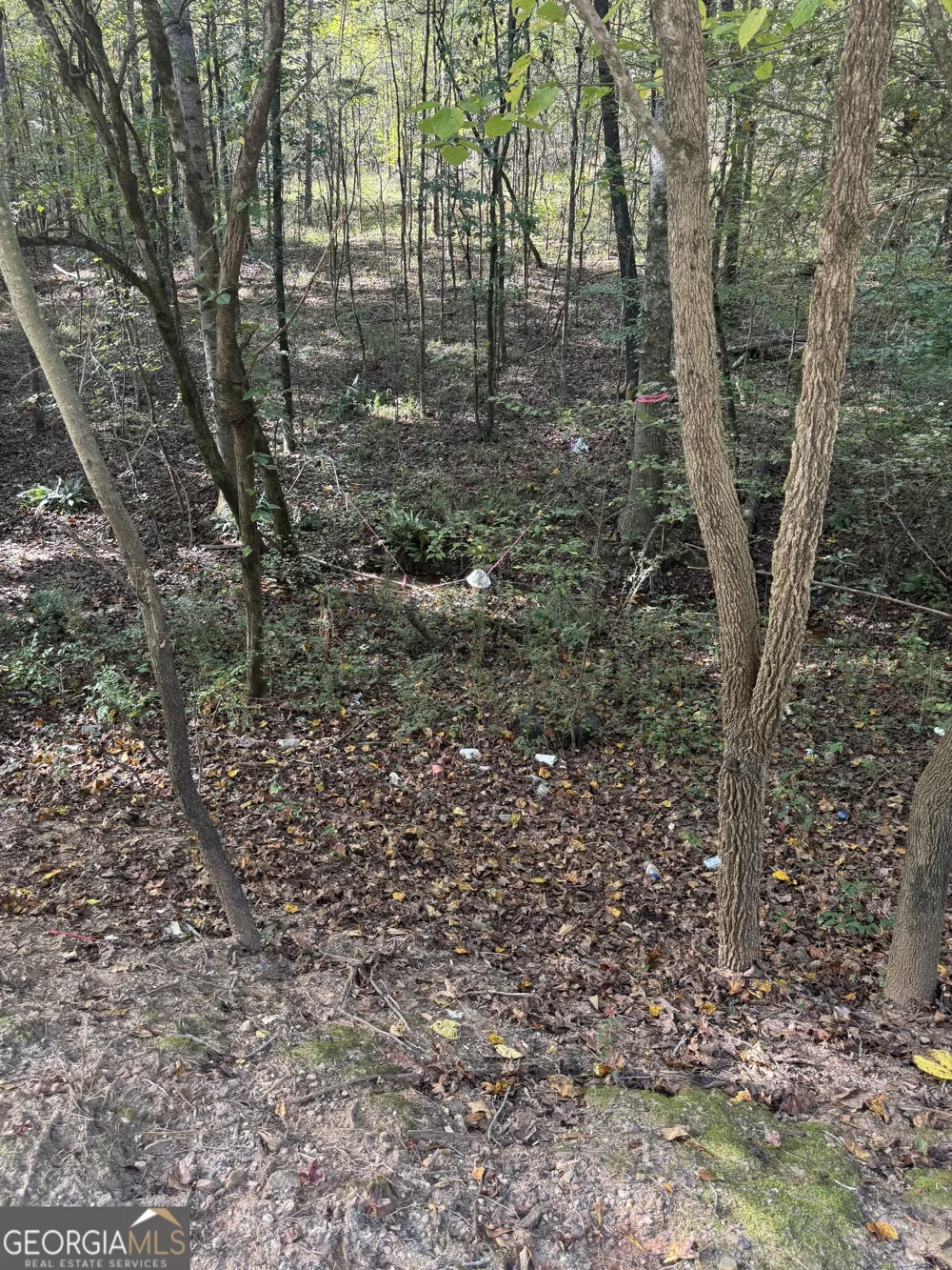 0 Ga Highway 142 Shady Dale, GA 31085