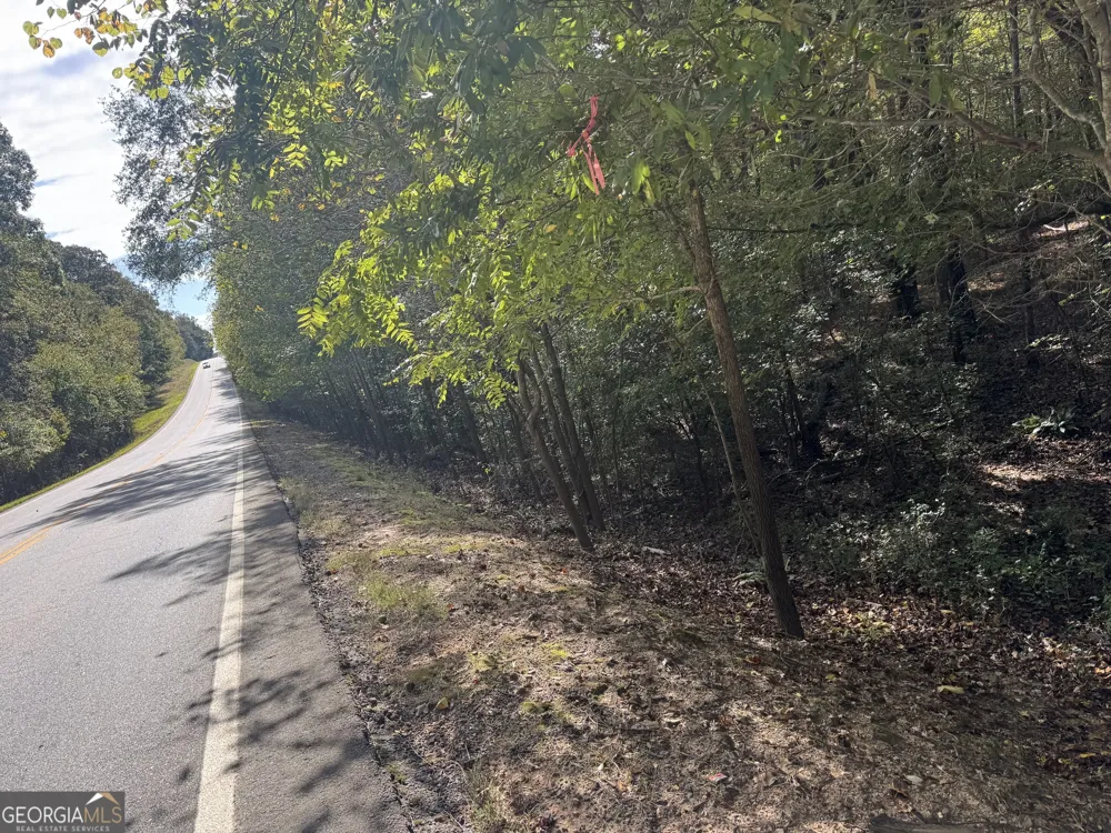 0 Ga Highway 142 Shady Dale, GA 31085