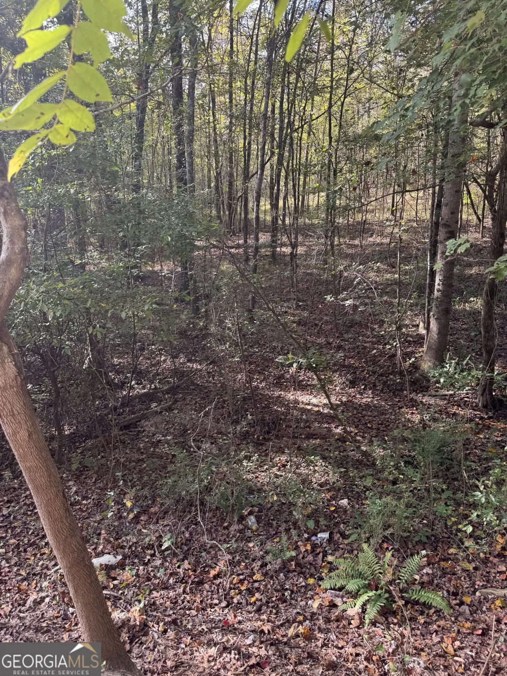 0 Ga Highway 142 Shady Dale, GA 31085