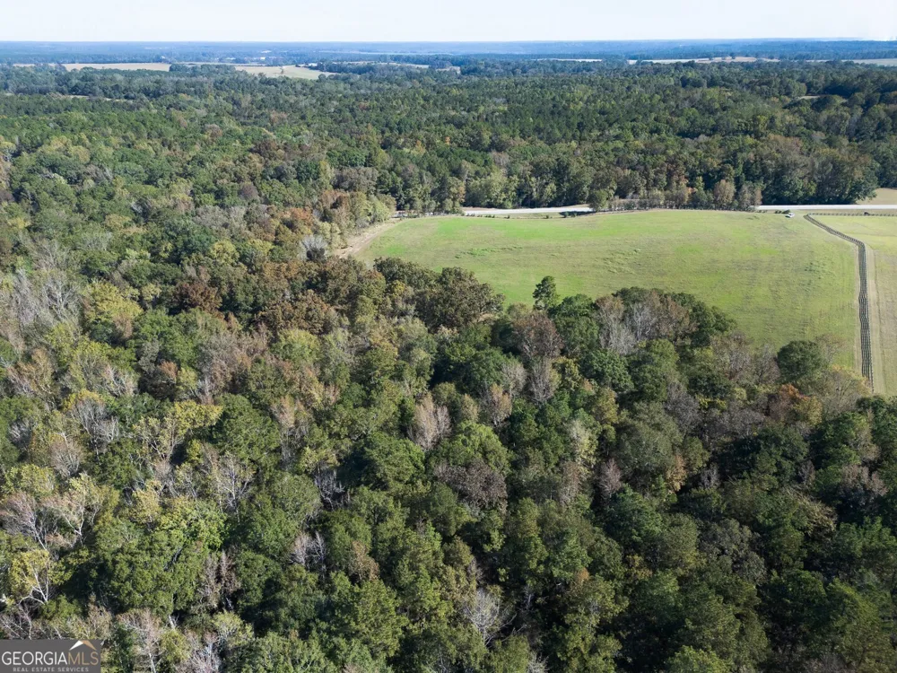 0 Ga Highway 142 Shady Dale, GA 31085