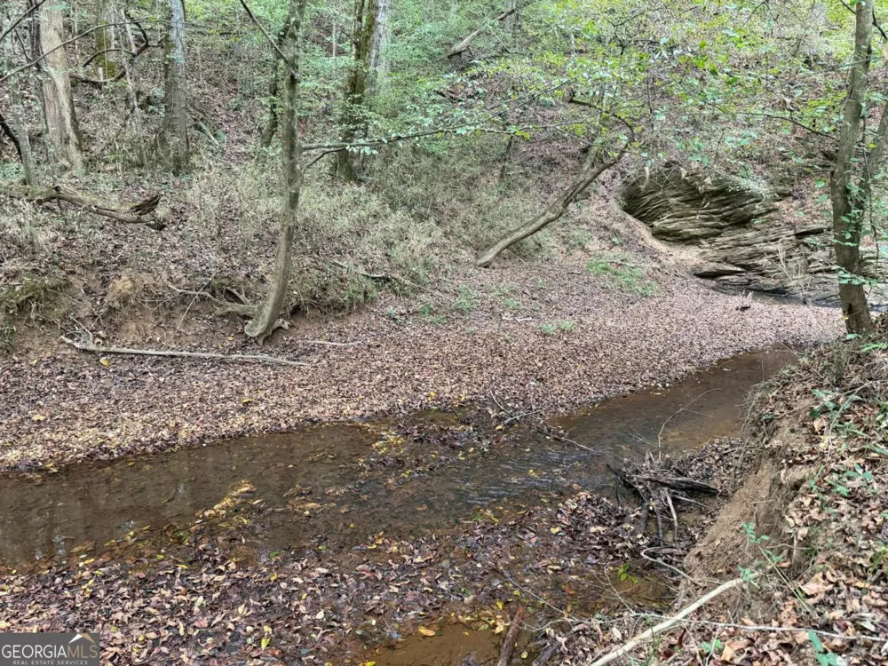 0 County Road 60 Heflin, AL 36264