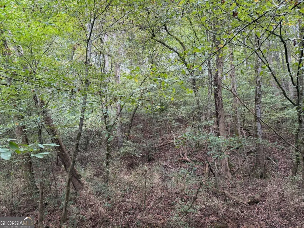 0 County Road 60 Heflin, AL 36264