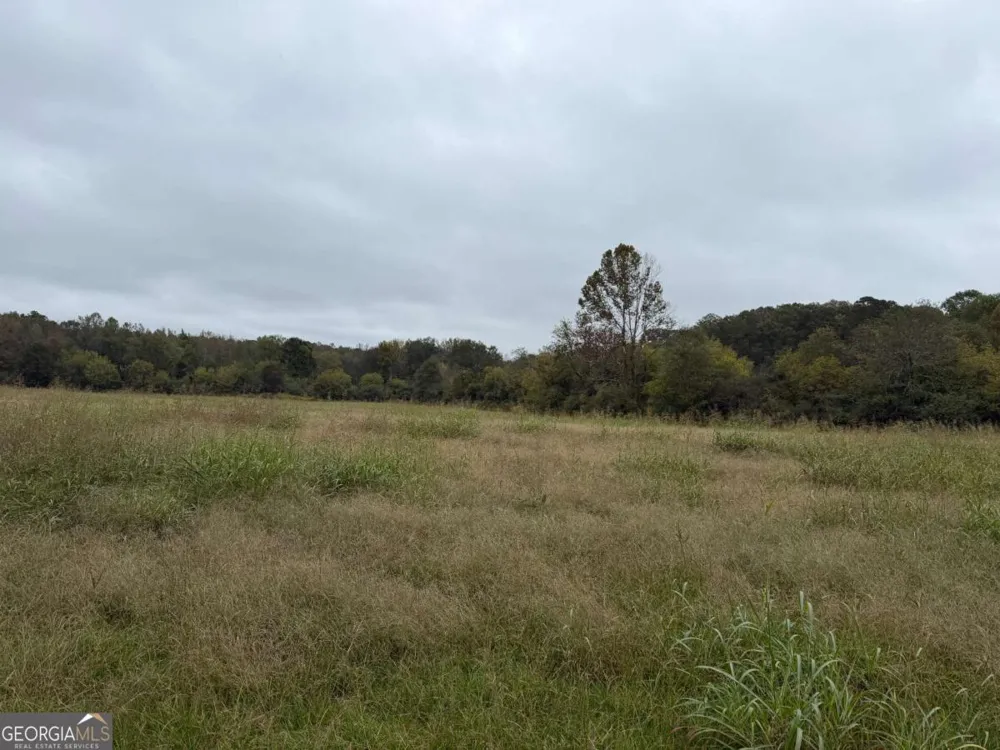 0 County Road 60 Heflin, AL 36264