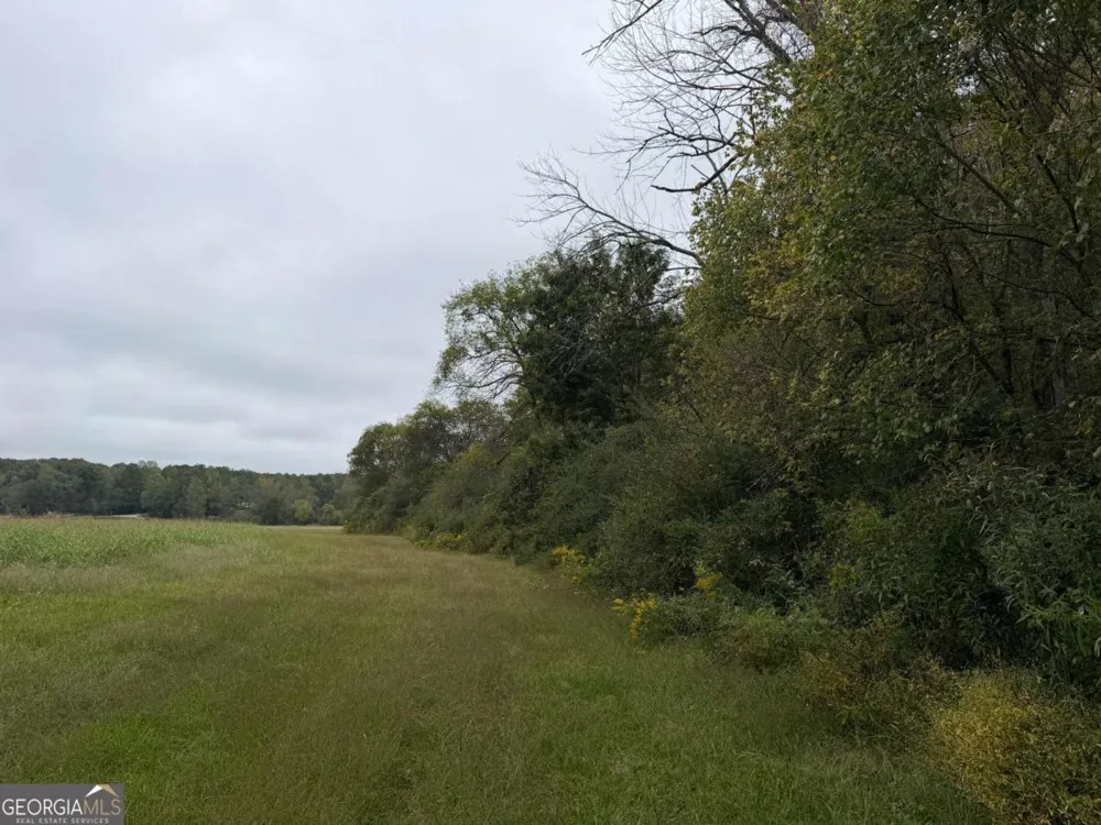 0 County Road 60 Heflin, AL 36264