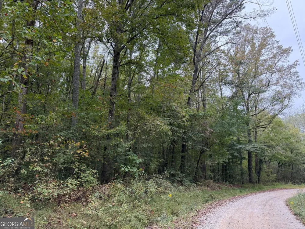 0 County Road 60 Heflin, AL 36264