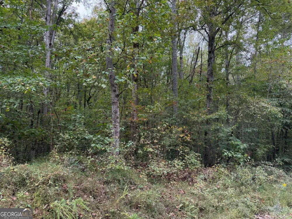 0 County Road 60 Heflin, AL 36264