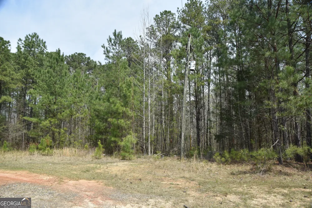 0 Main Waverly Hall, GA 31831