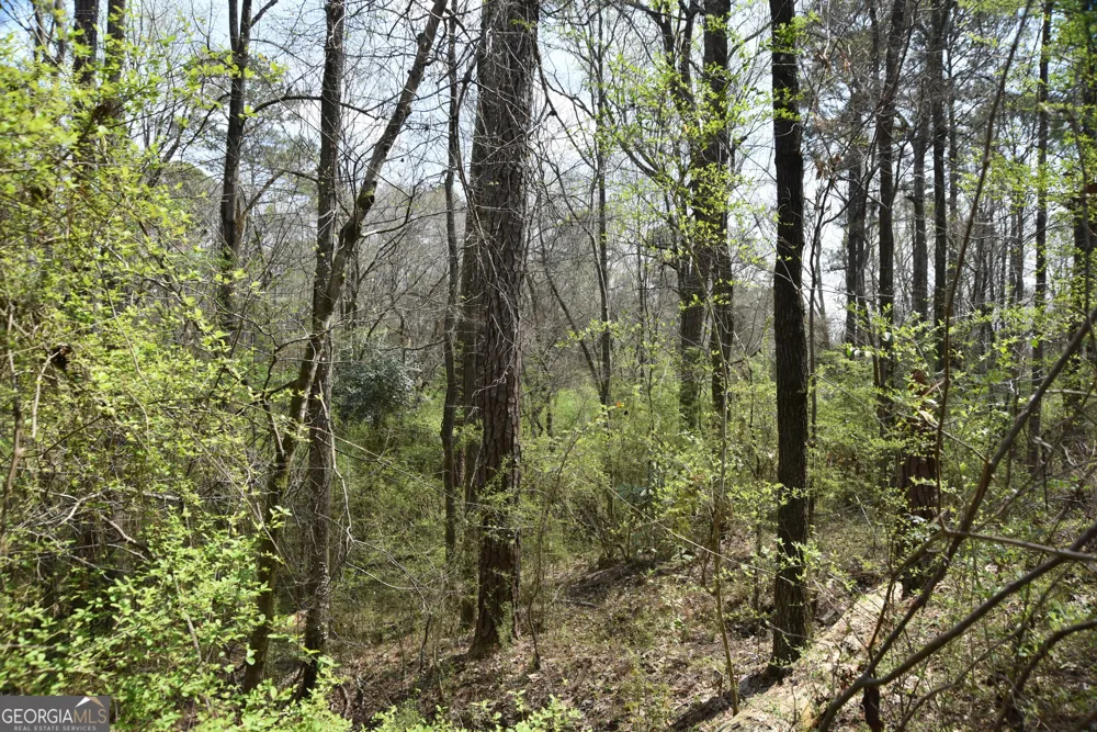 0 Main Waverly Hall, GA 31831