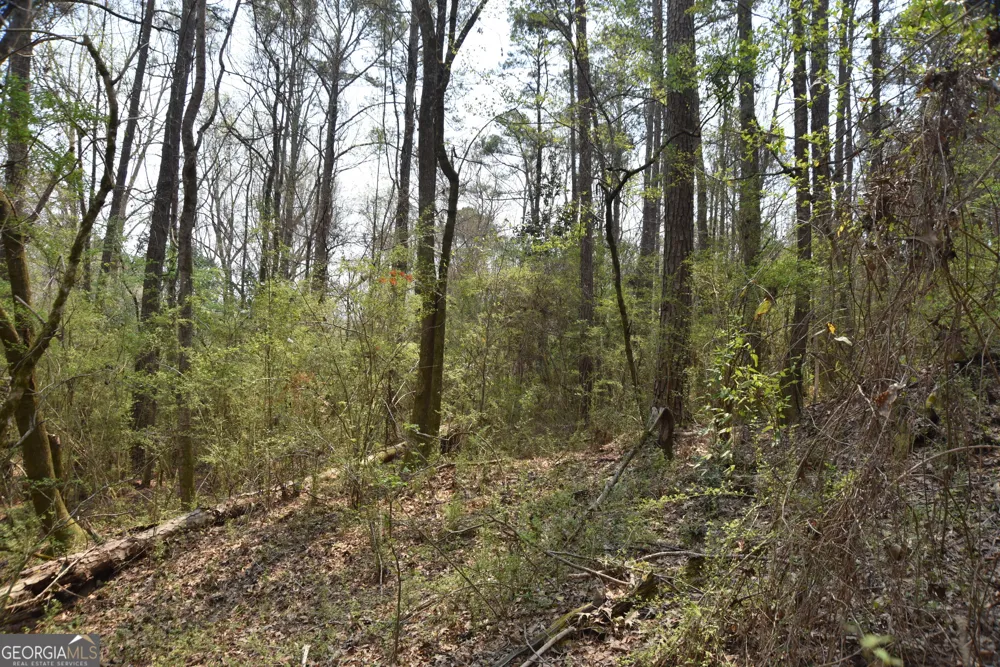 0 Main Waverly Hall, GA 31831