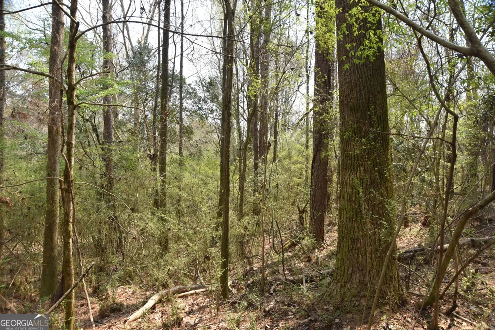 0 Main Waverly Hall, GA 31831