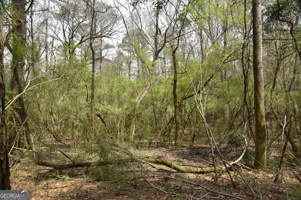 0 Main Waverly Hall, GA 31831