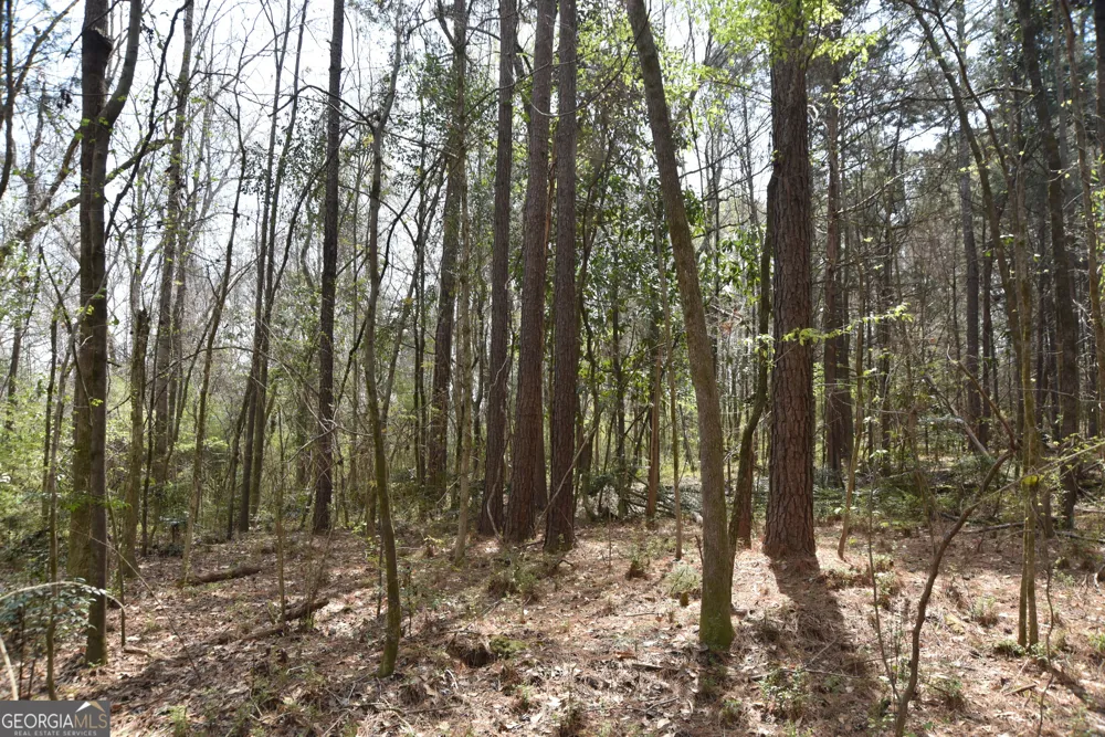 0 Main Waverly Hall, GA 31831