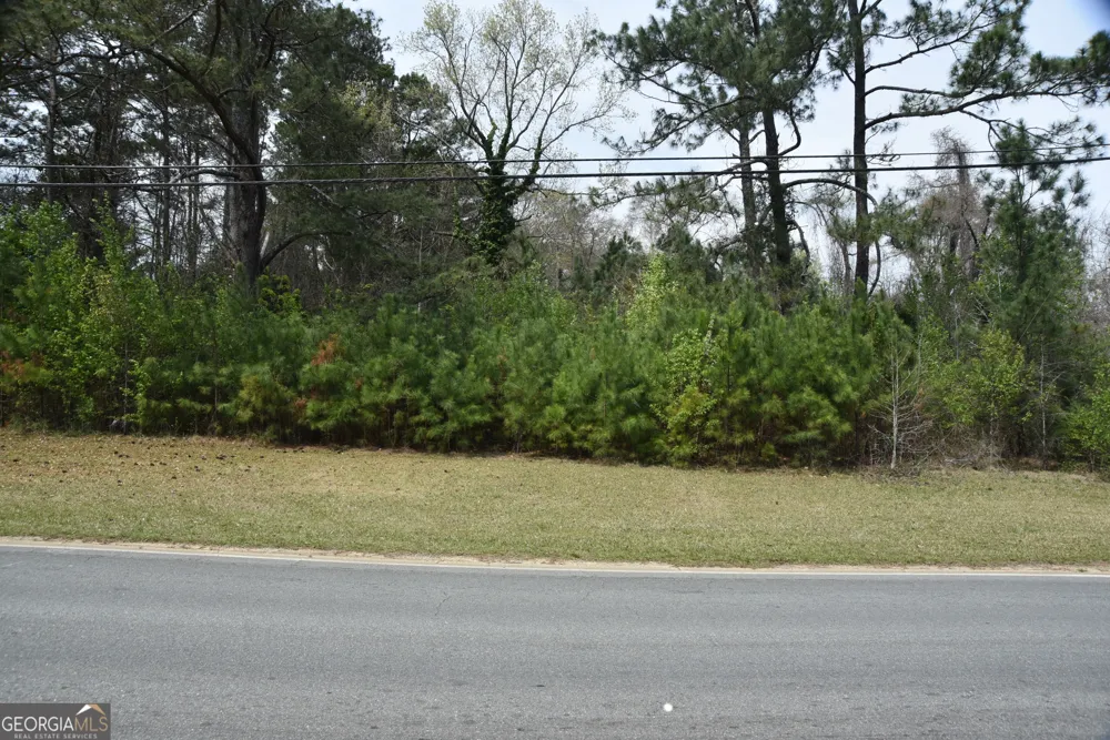 0 Main Waverly Hall, GA 31831