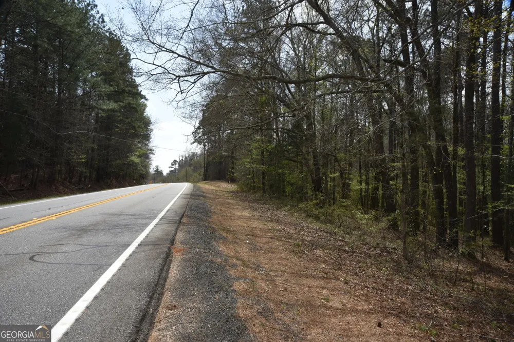 0 Main Waverly Hall, GA 31831