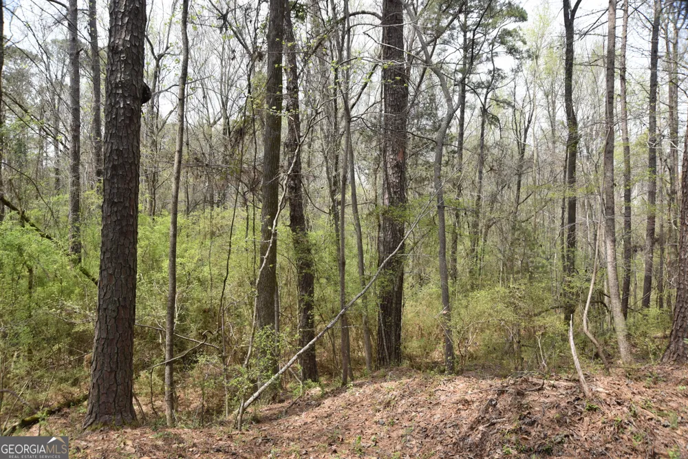 0 Main Waverly Hall, GA 31831