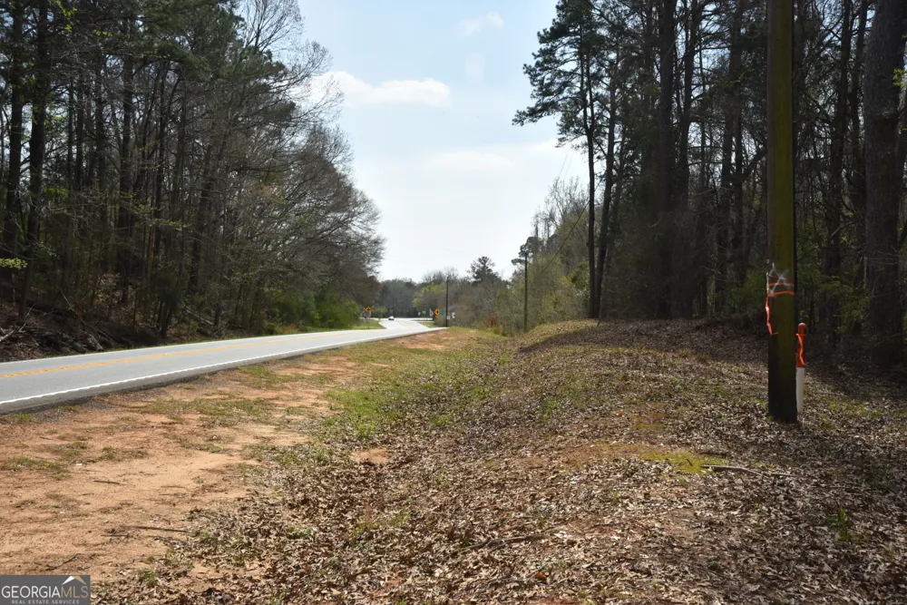 0 Main Waverly Hall, GA 31831