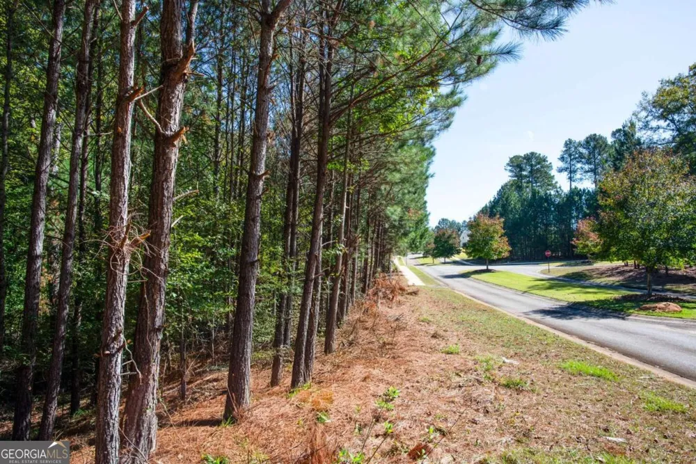1682 River Bank LN Watkinsville, GA 30677