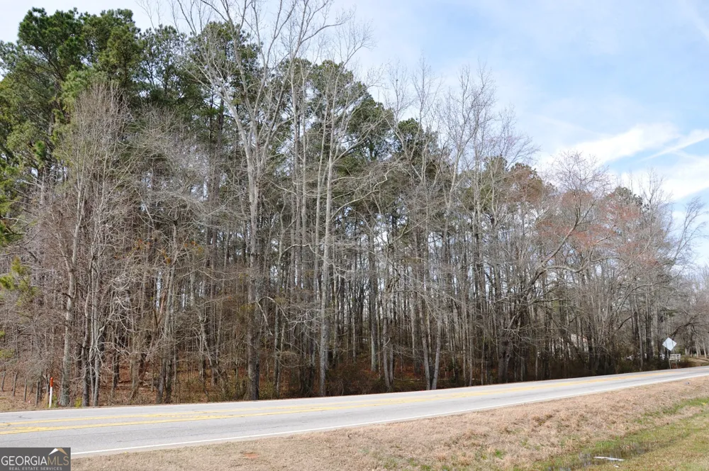 0 Monroe Hwy Bethlehem, GA 30620