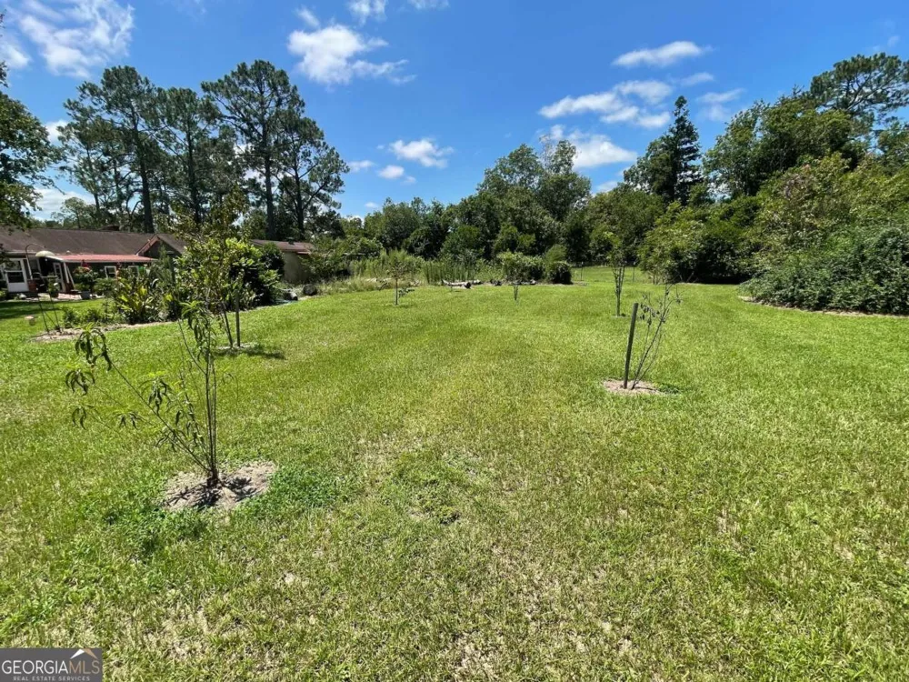 57 E Dogwood DR Jacksonville, GA 31544