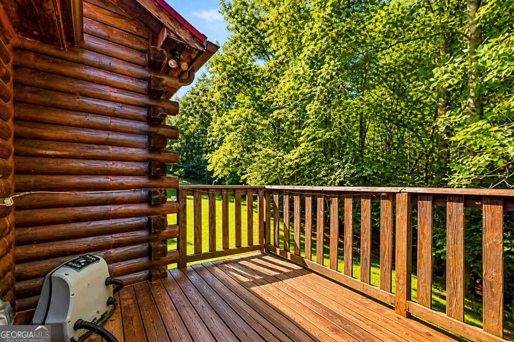 711 ARP RD Mineral Bluff, GA 30559